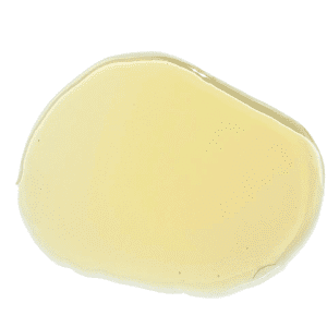 MP-100 Aceite de pino